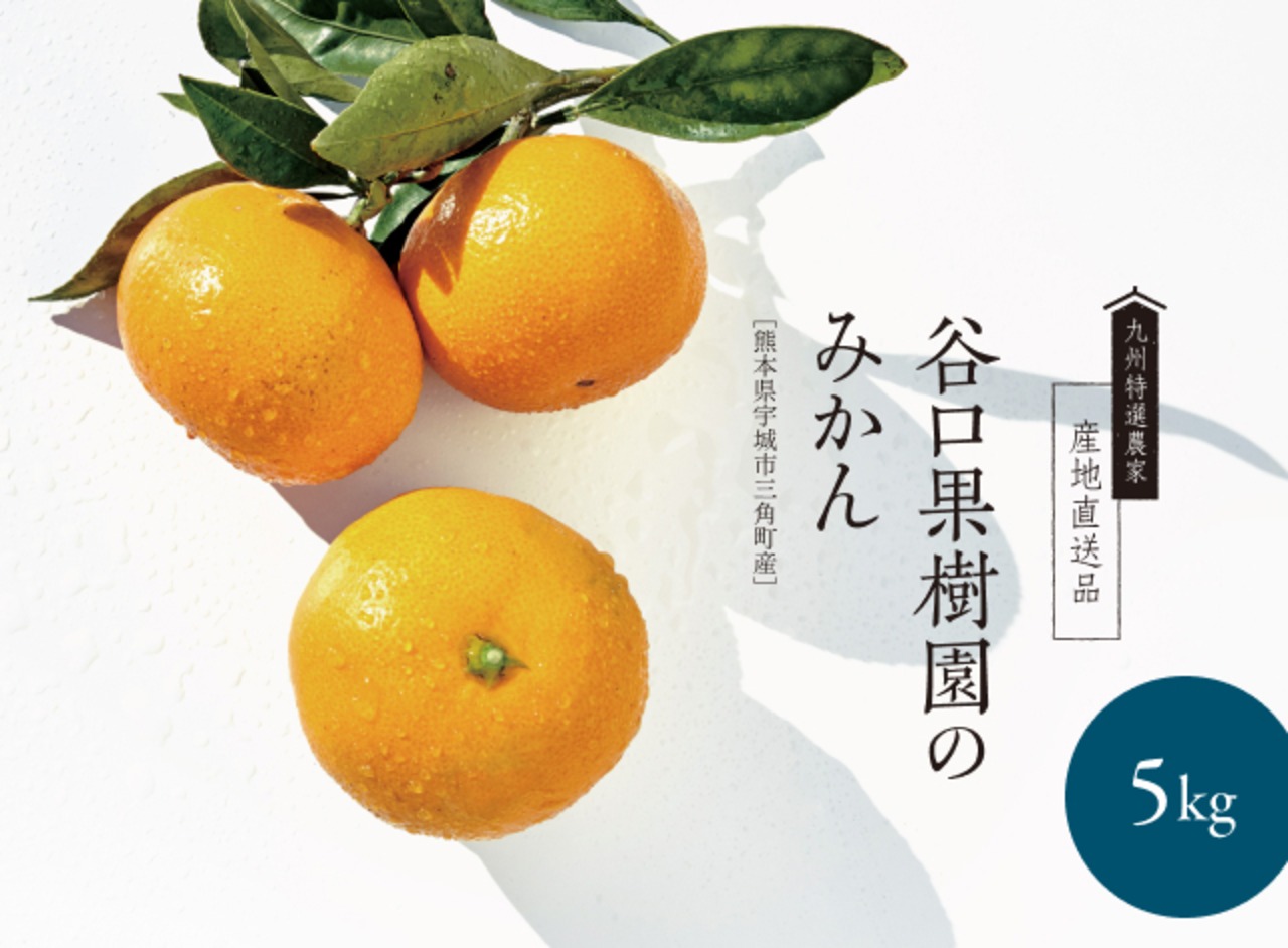出口商店厳選！ 温州みかん（熊本県産）5kg