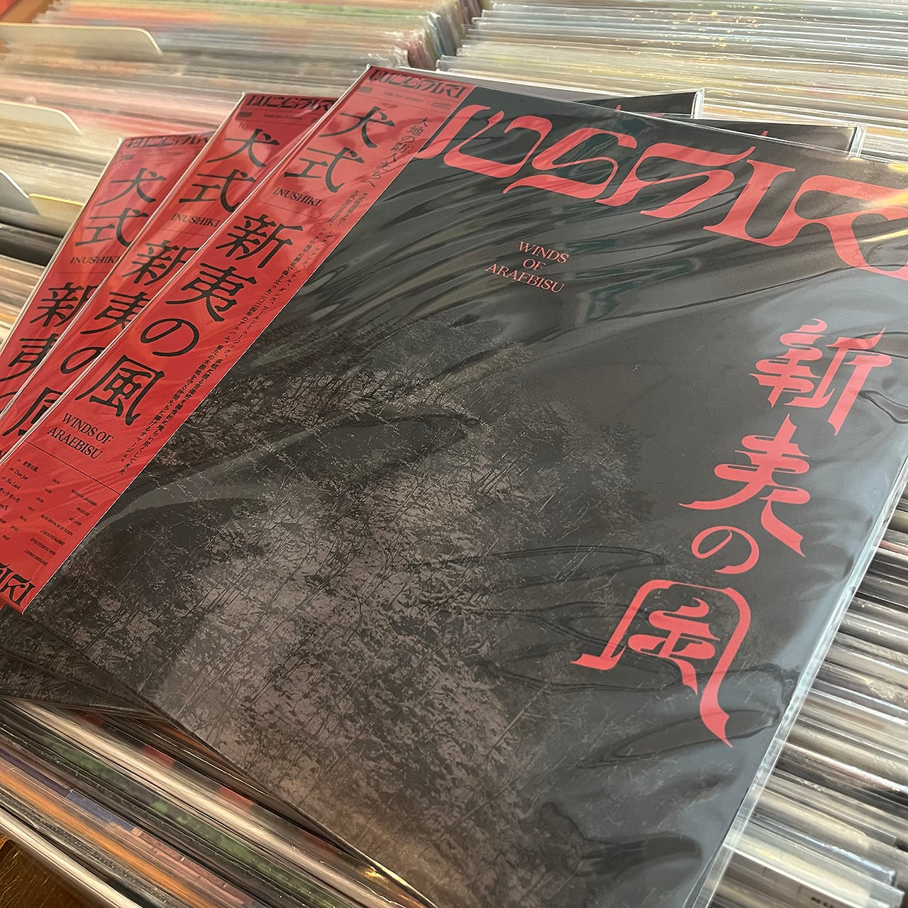 残り1点〉【LP】犬式 Inushiki - 新夷の風 | Jazzy Sport Shimokitazawa