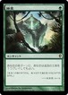 MTG《踏査/Exploration(CNS)》日本語