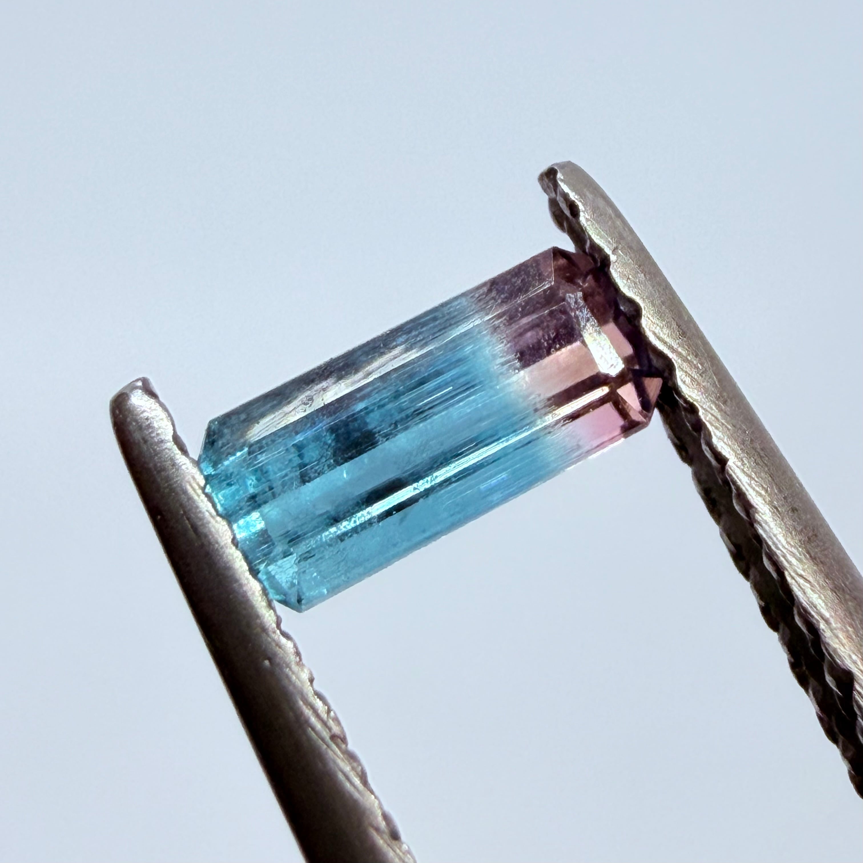 成長の証が見えるバイカラートルマリン