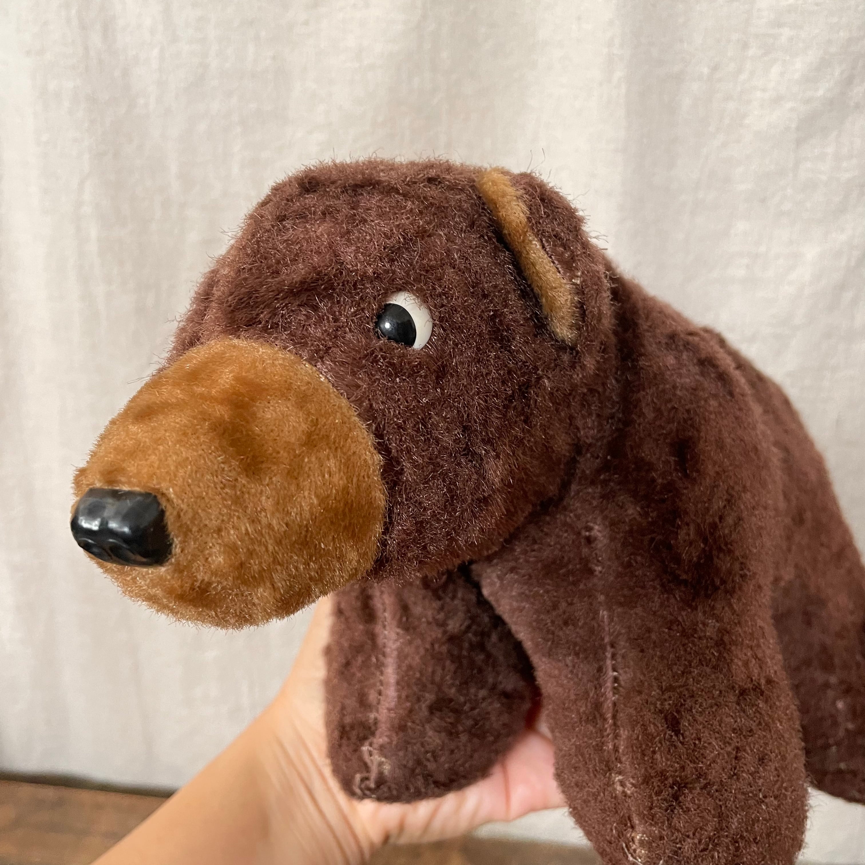 四足歩行のくま