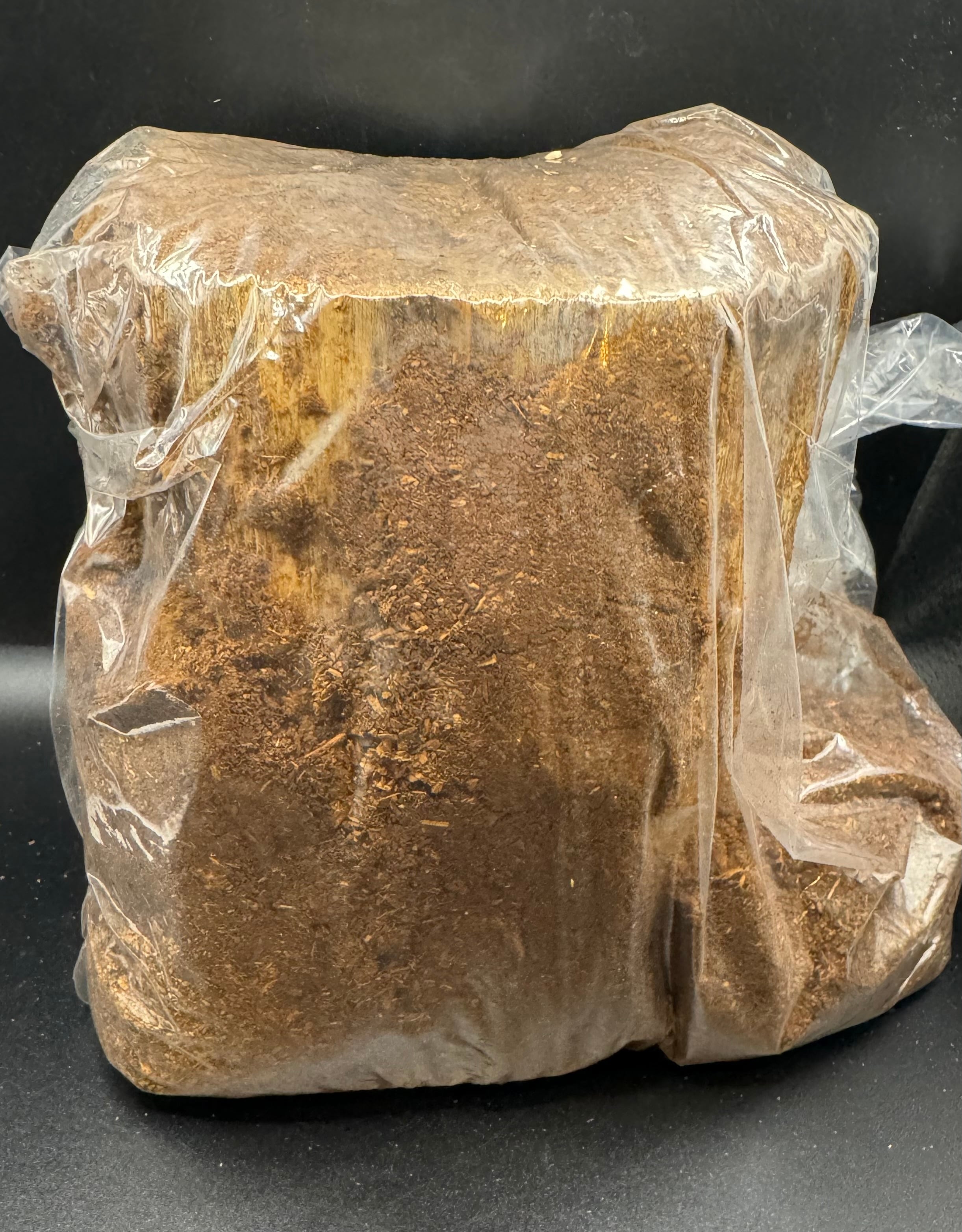 デカクなりすぎ注意！ヒマラヤひらたけ発酵マット 産卵にも！増量200