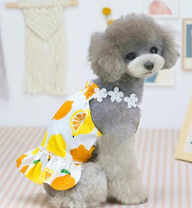【フリーサイズ】フルーツが清涼感を演出! 春夏用 ペット服