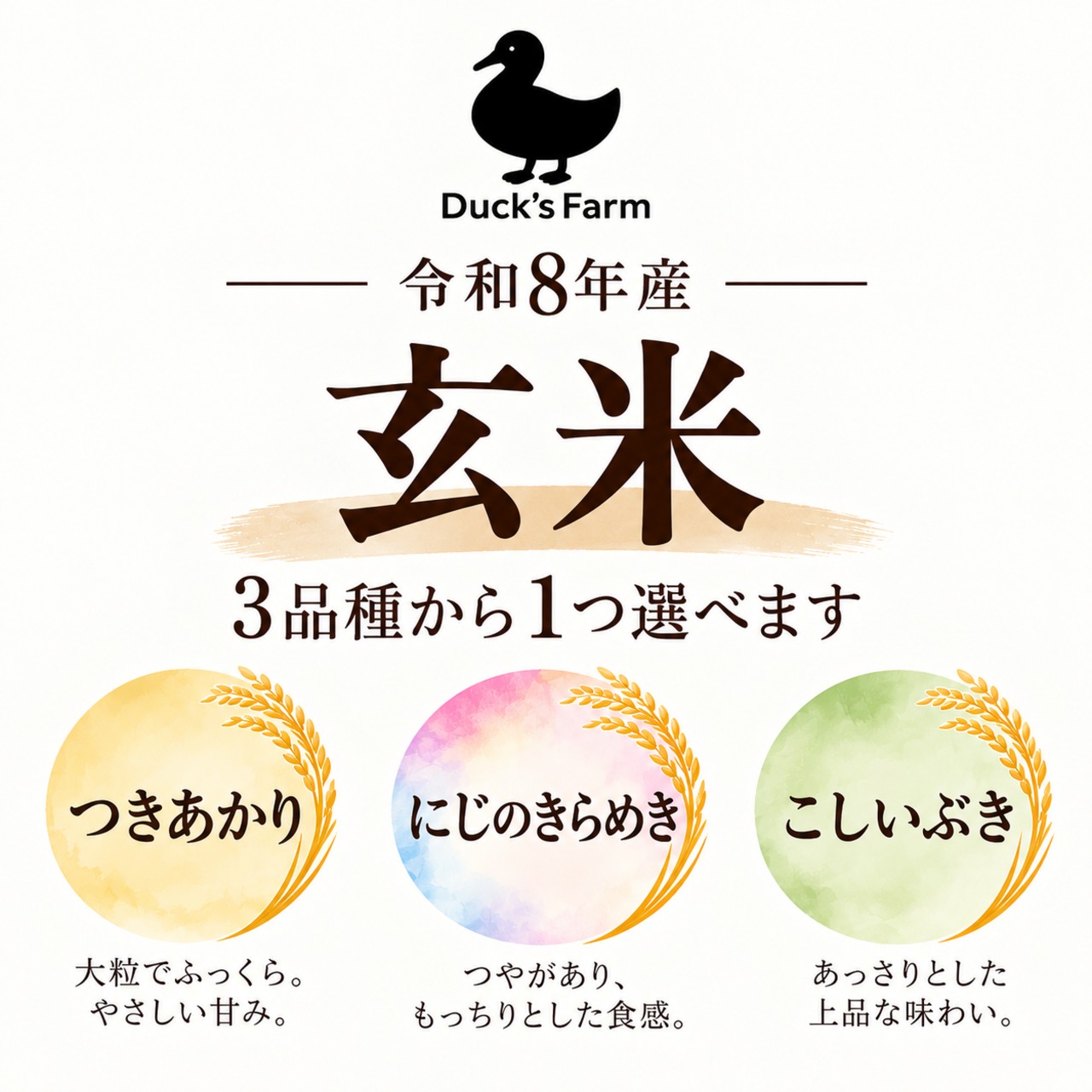 新米】令和8年産玄米10kg | Duck'sfarm