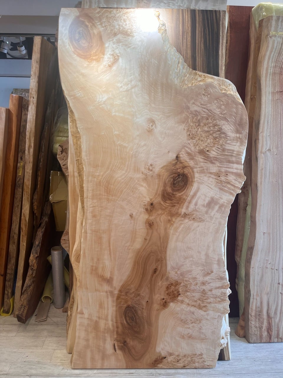 衝立　自然木の１枚板 衝立 自然木の1枚板