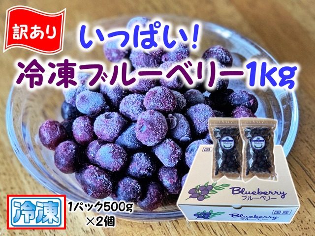 【訳あり】冷凍ブルーベリー １ｋｇ（フリーザーパック500ｇ×2個）