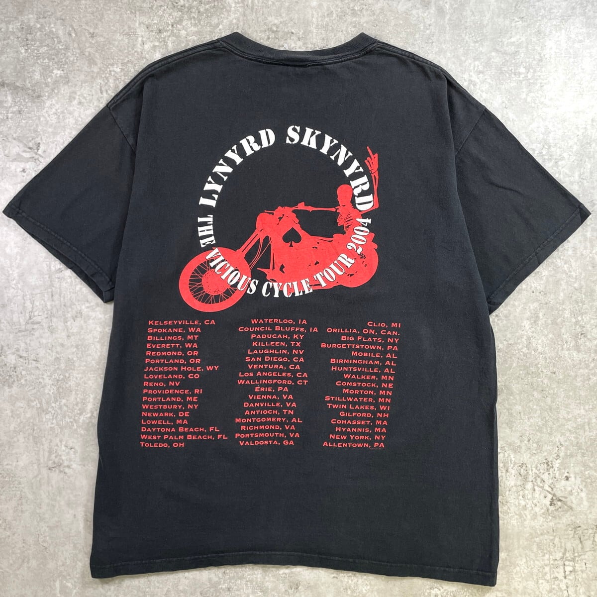 ヴィンテージ Lynyrd Skynyrd 2008 ツアー バンT 00年代 LYNYRD SKYNYRD レイナードスキナード バンドTシャツ バンT