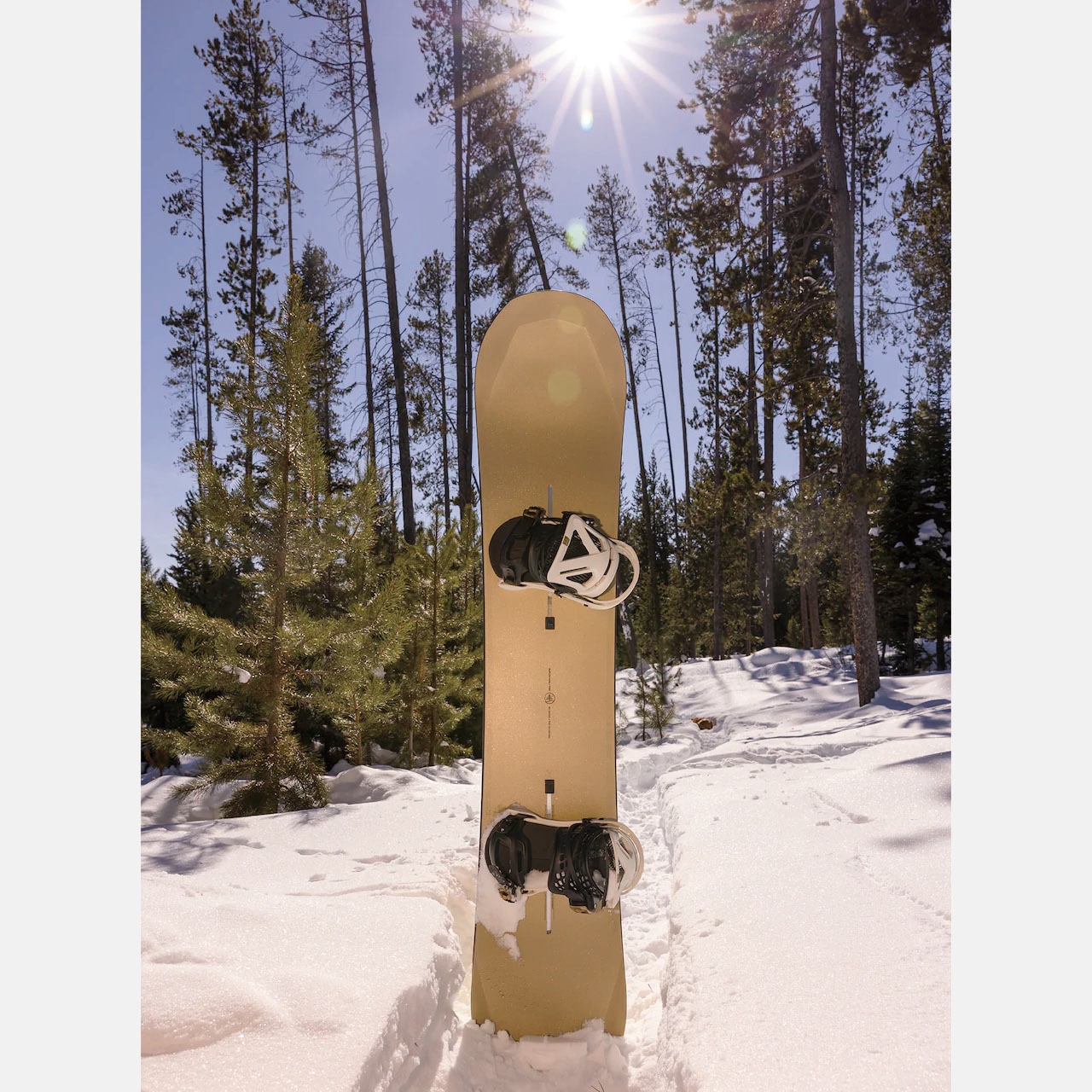 23-24年モデル . BURTON . Family Tree .『 3D DAILY DRIVER  