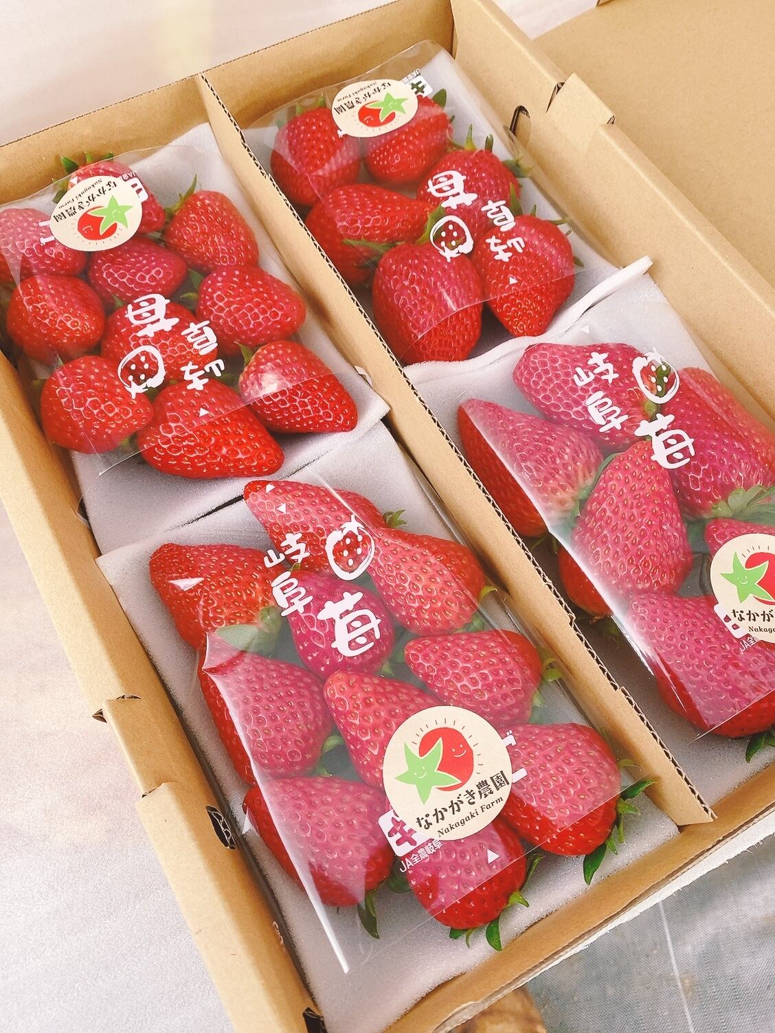 完熟紅ほっぺいちご◎1/2~1/10発送