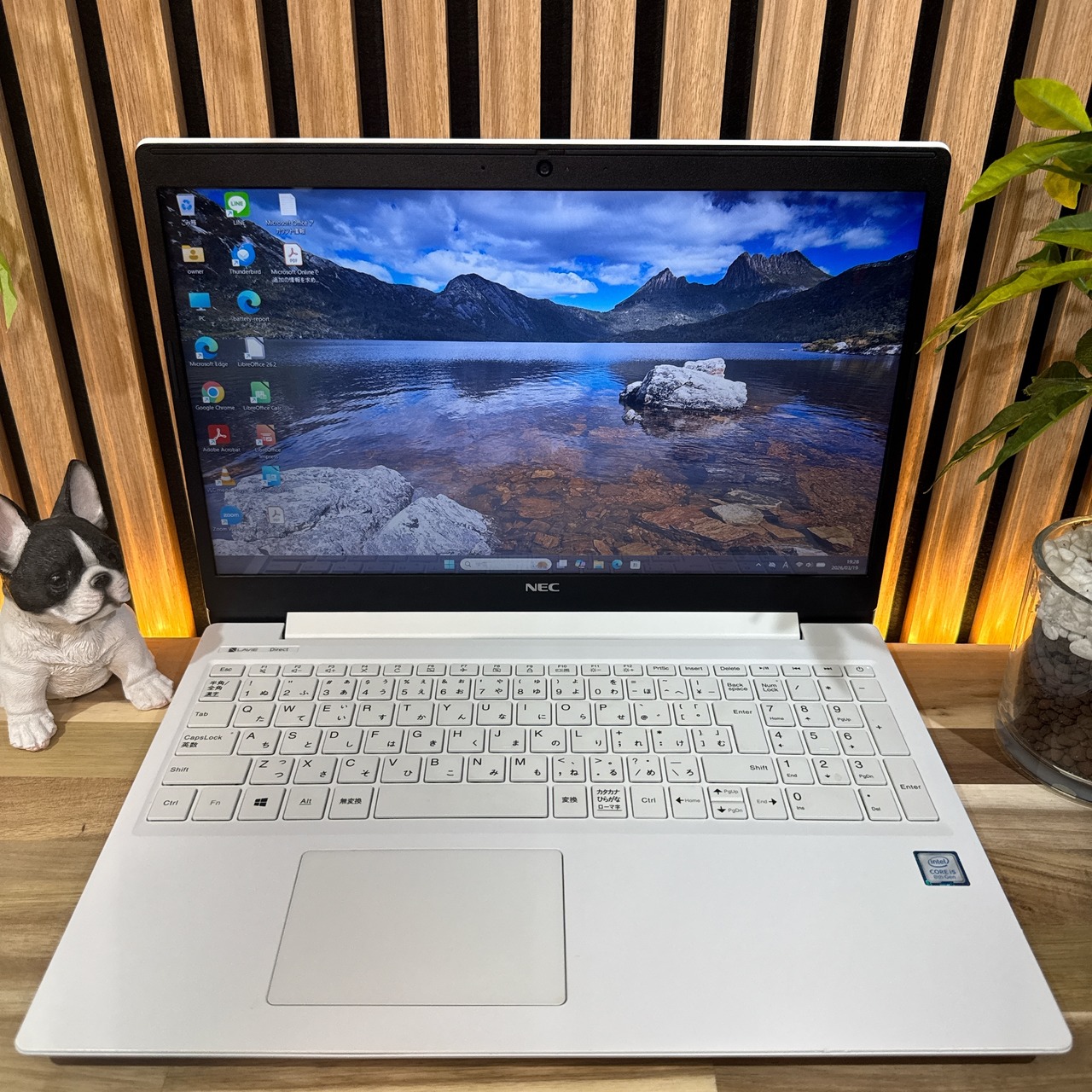 \ 公式ショップ限定価格❣️/ 超美品《光学ドライブ搭載》NEC LAVIE Direct N15 メモリ12GB SSD256GB 人気ノートパソコン 安心サポート&3ヶ月保証付き