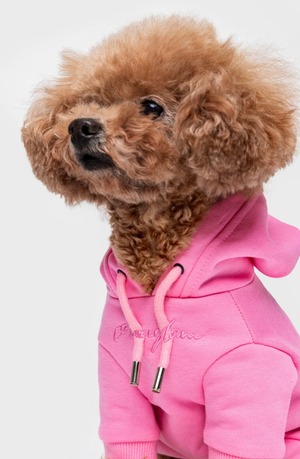 PASTEL LOGO HOODIE Pink  L / XL