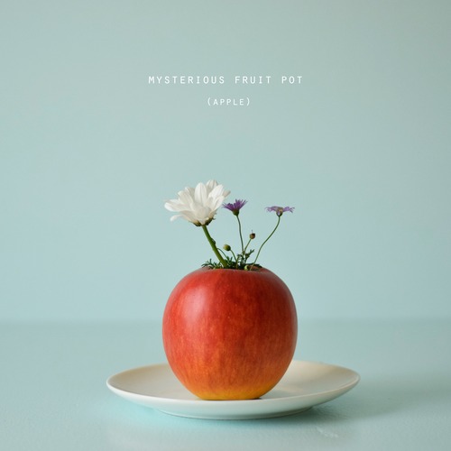 mysterious fruit pot (apple) フラワーベースB