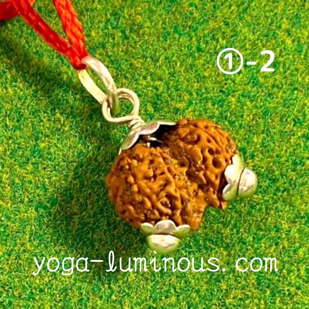 ガウリーシャンカラ ルドラクシャ 菩提樹の実 11面