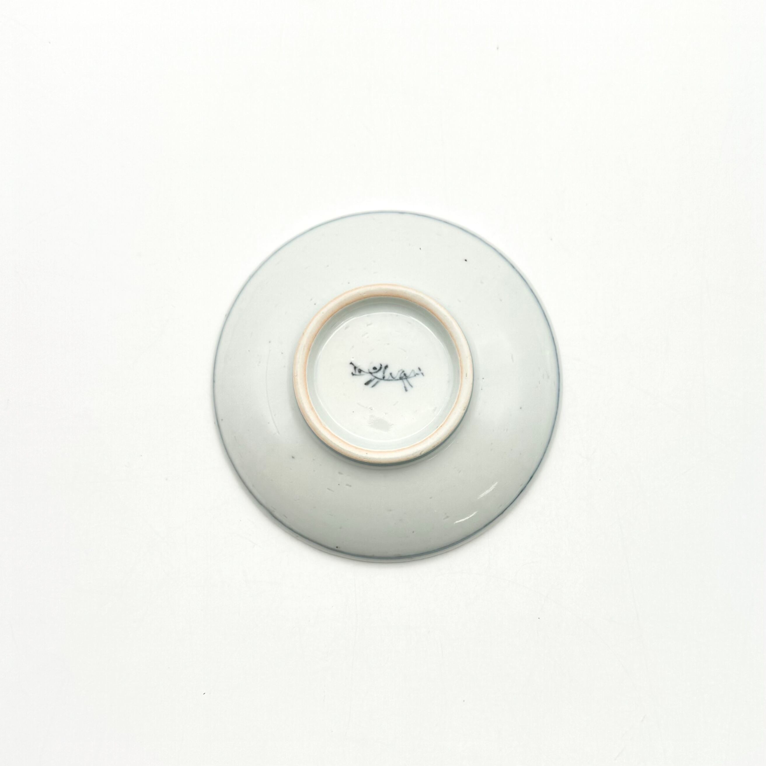 DINOSAUR 豆皿 ティラノサウルス《studio wani》 | 24to3［西富陶磁器