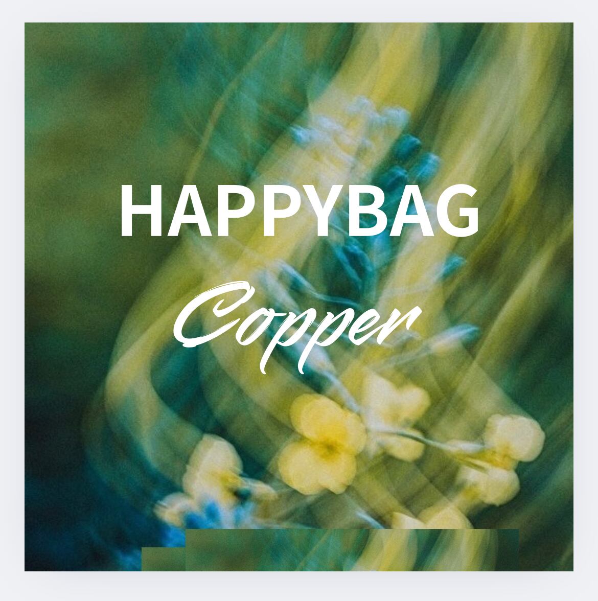ラストHAPPYBOX 【copper】