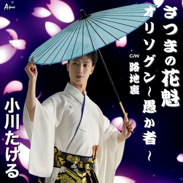 フラダンスDVD15枚組】日本フラDVD全集 | Ratspack Records