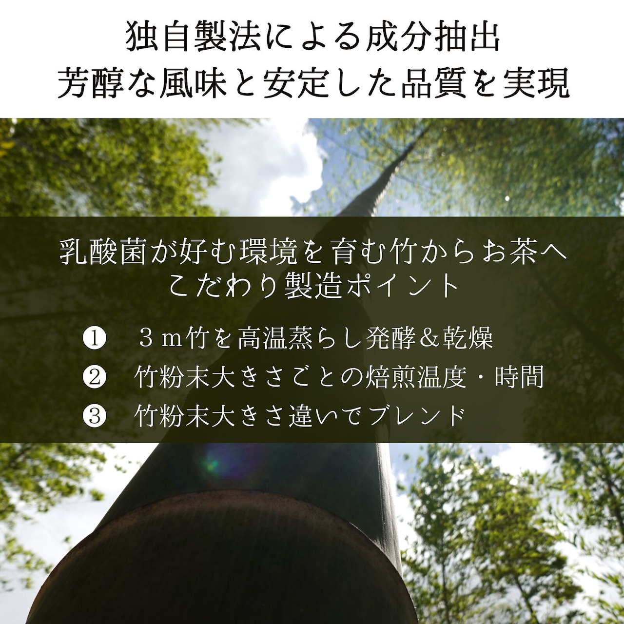 【初回お試し】竹美茶(阿波竹茶) 5ティーバッグ包入り