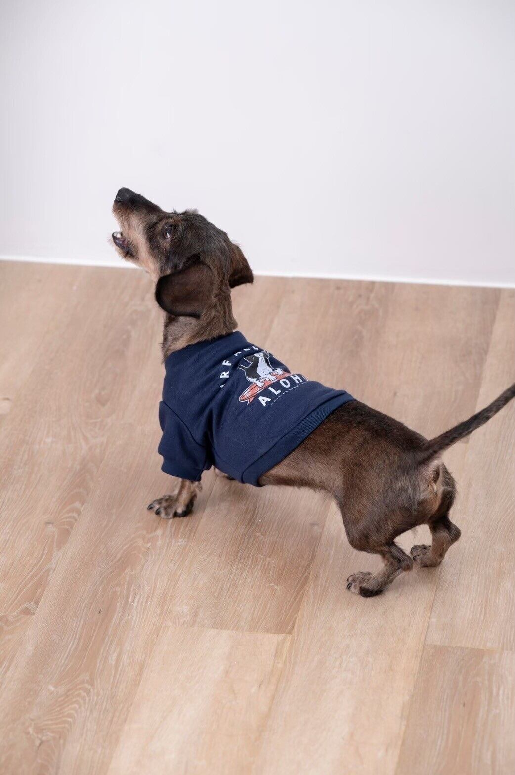 犬用クールネックスウェット [サイズ: S] [カラー: SURFDOG]