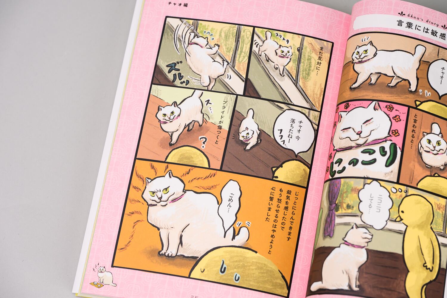 カマノレイコ 「白猫、黒猫、しましま猫」 | TOKYO PiXEL. shop & gallery