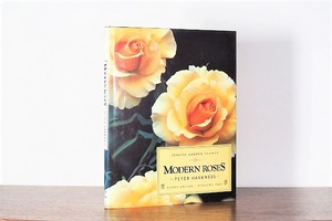 MODERN ROSES / visual book