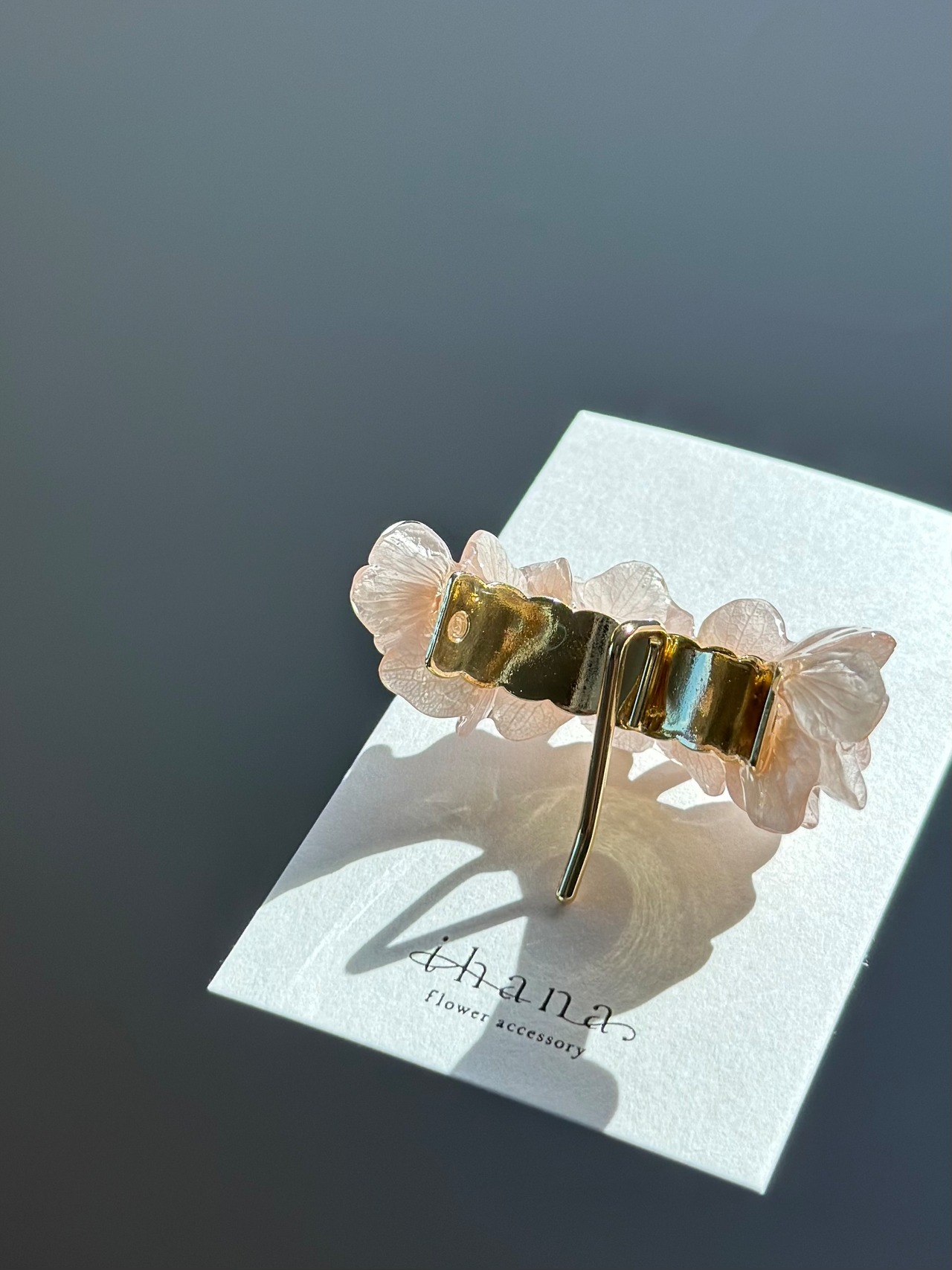 hydrangea ponyhook