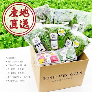 【FISH VEGGIES】スターターセット　初めての方にピッタリ！化学肥料/農薬不使用だから安心して食べられる