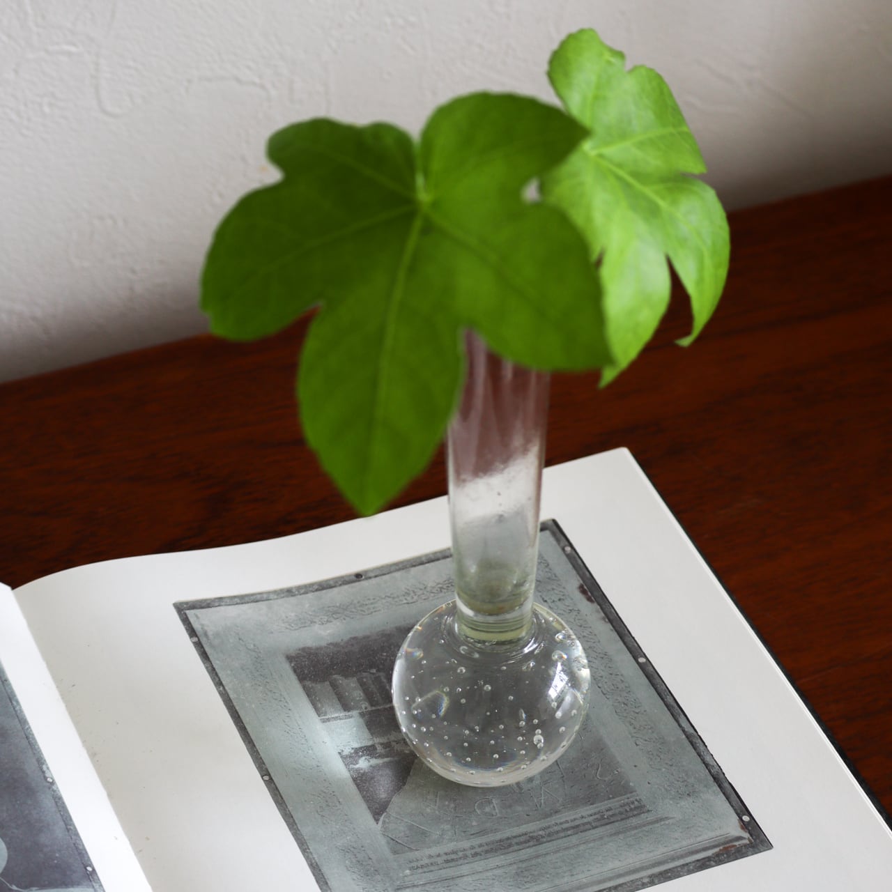 BUBBLE ORCHID VASE 'A' | 1950-70s | Sweden