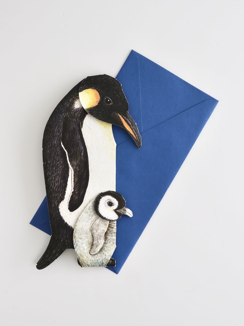 3D 立体グリーティングカード「ペンギン」 / 3D Animal Folding Card