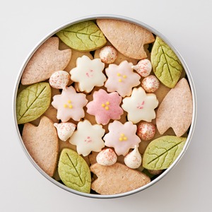 4月のサクラの花Cookie缶
