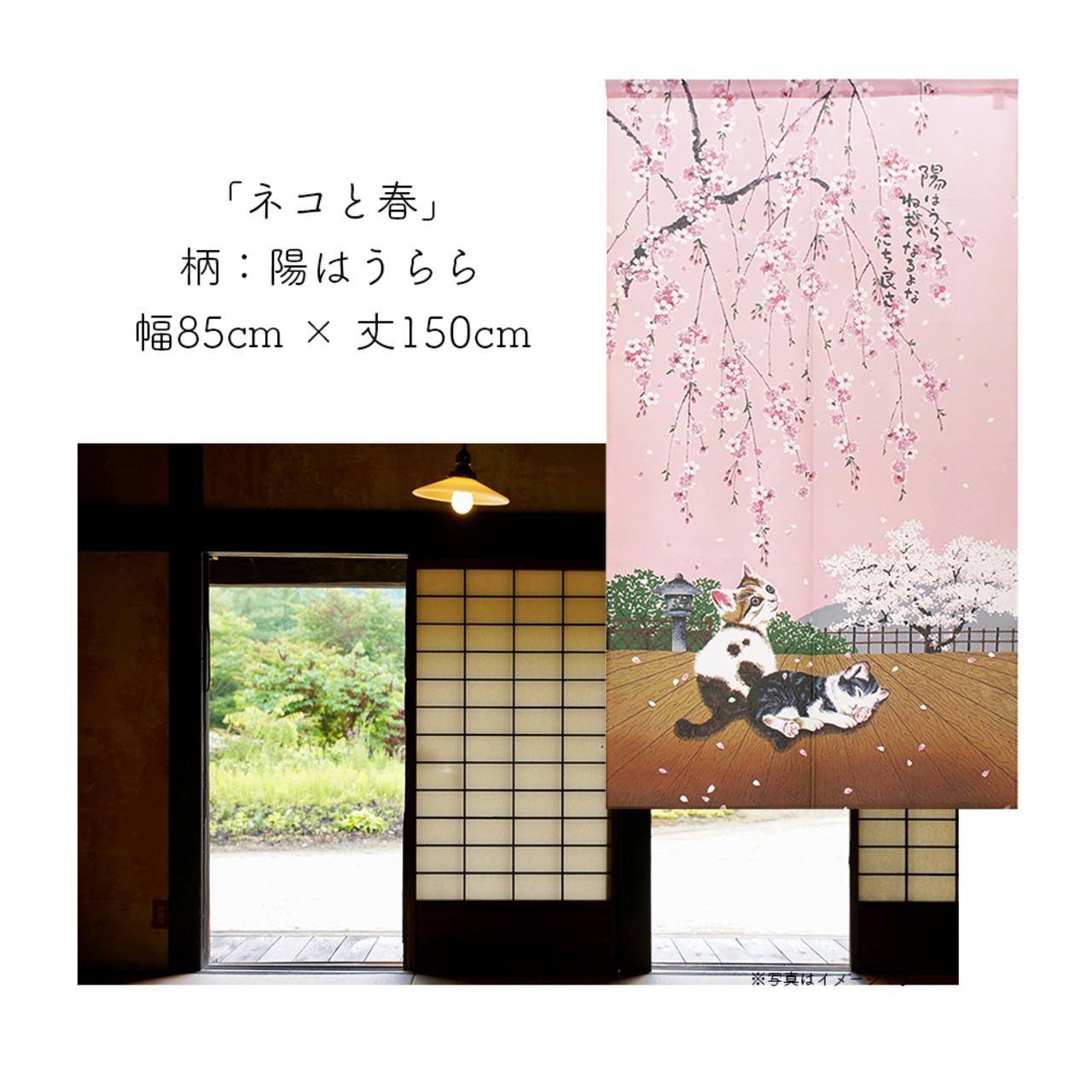 【受注生産】 のれん 猫のれんシリーズ 「ネコと春」  幅85ｘ丈150cm