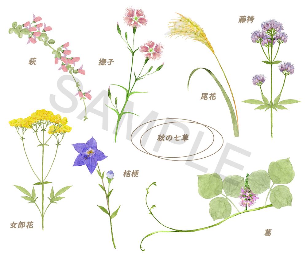 25b553a122407a88f28e297e1a3b16