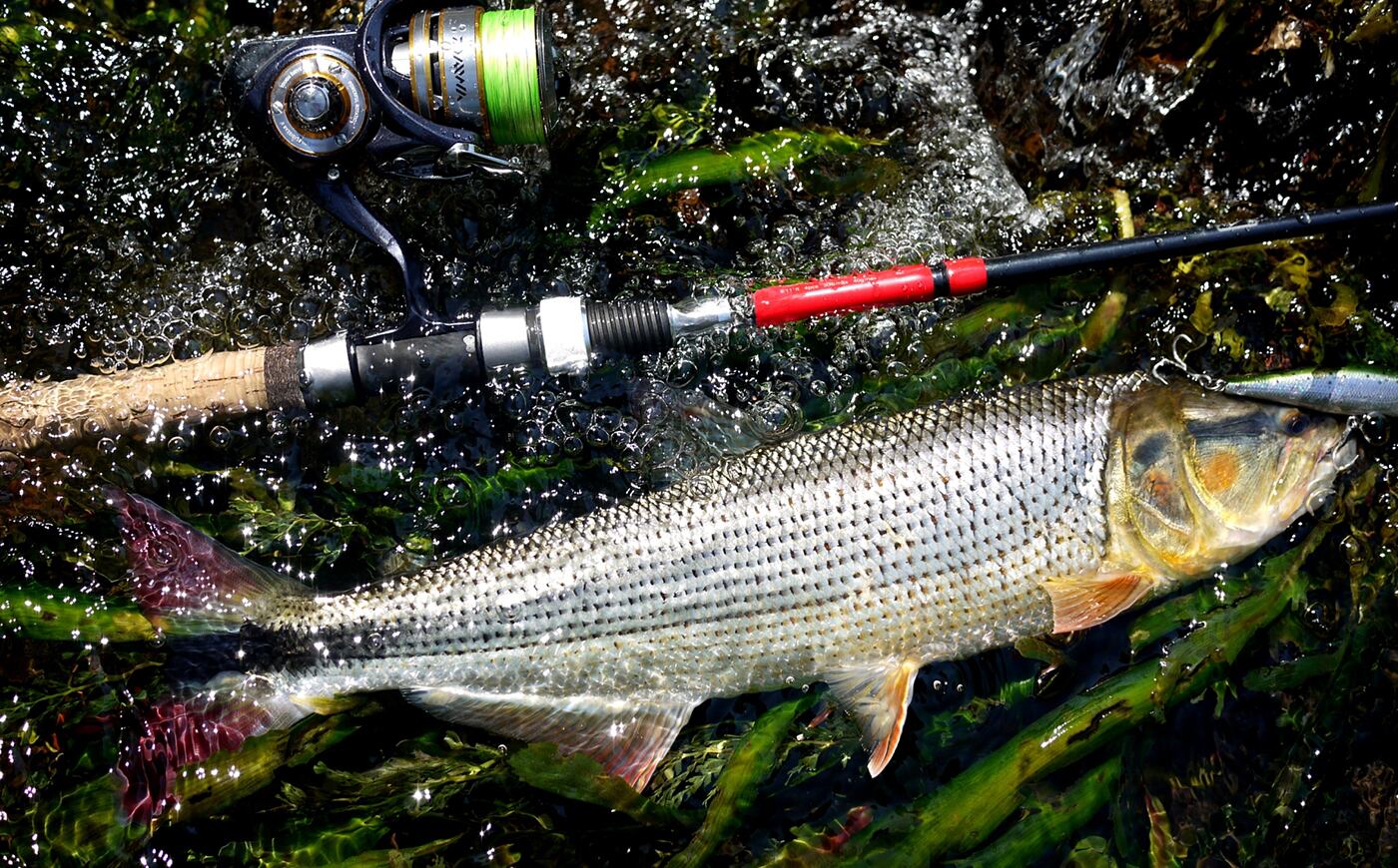 XT611-4S | Huerco フエルコ公式オンラインパーツストア