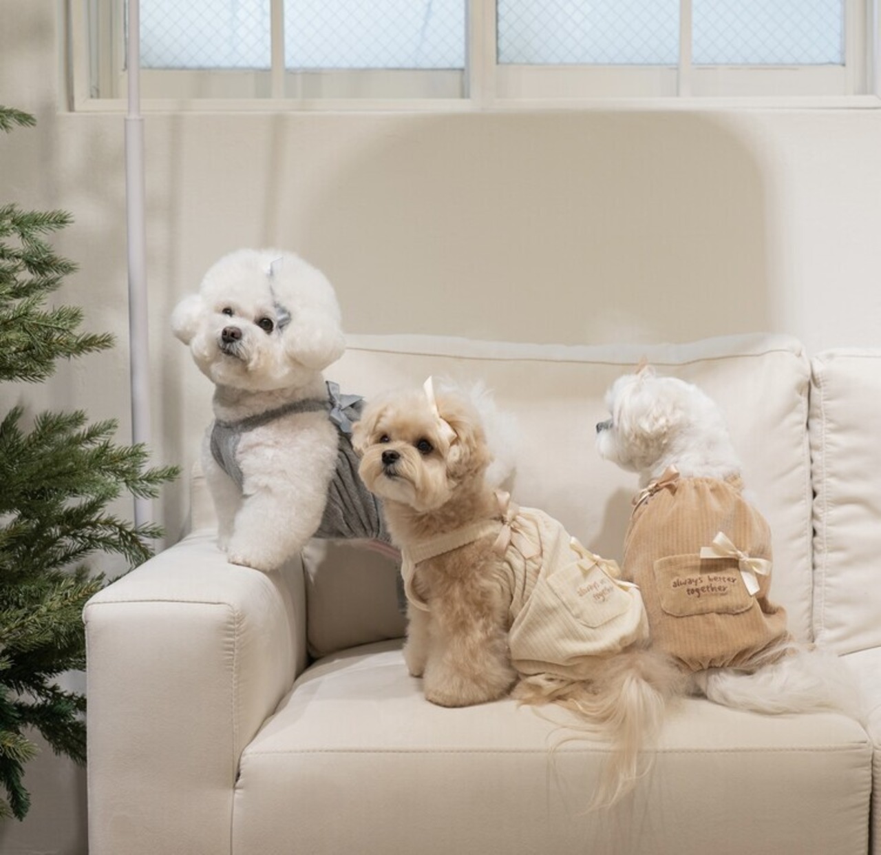 即納【cheese n mood】ベロアロンパース  (ベージュ)