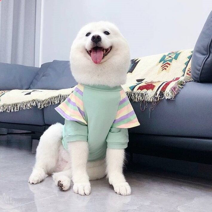 受注生産 3XL~6XL カラフルな袖がポイント!お出かけ服