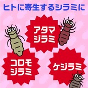 アース シラミとりシャンプー アース シラミとり シラミ・ダニ退治スプレー 250ml 布団 枕 帽子 シラミ ダニ対策 シラミ取り シラミ駆除