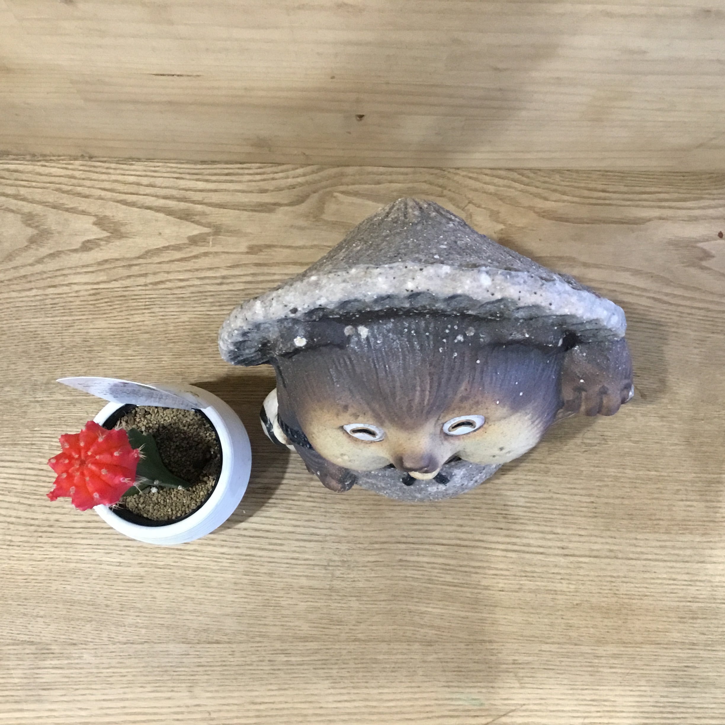 信楽焼たぬき 古信楽 大願成就（笑）7号 | 趣味の園芸と陶器山竹