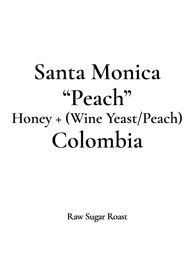 Colombia | Santa Monica -Peach-