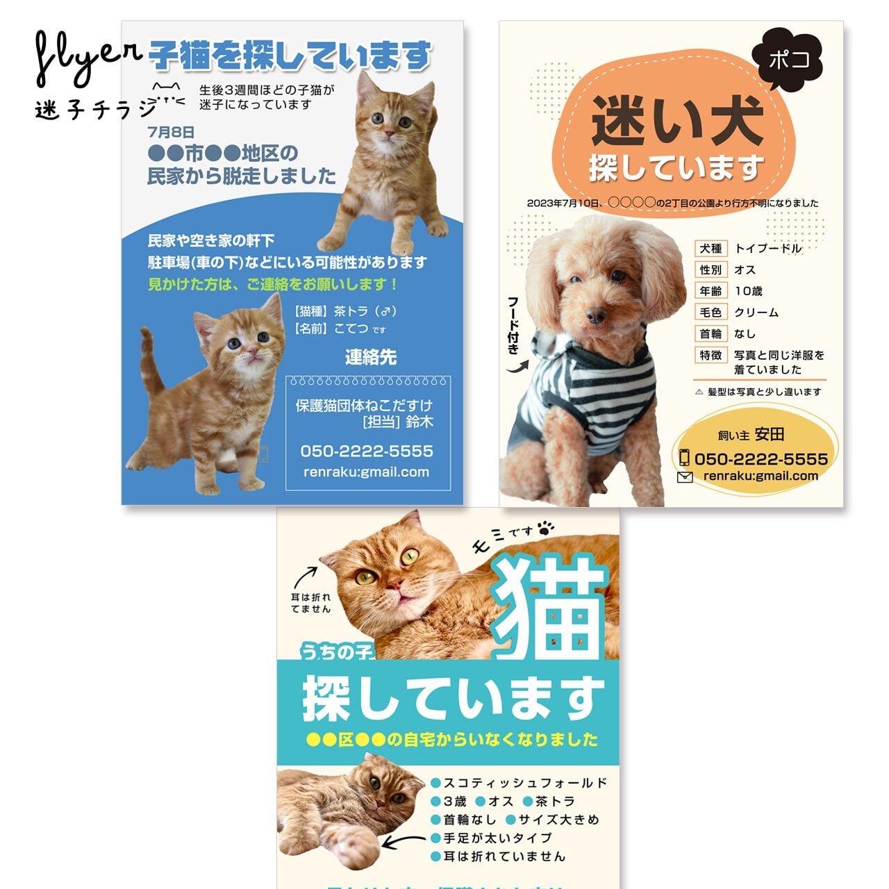 迷子チラシお作りします（迷い猫・犬・インコなど…） | うちの子