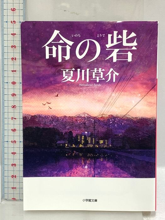 大島弓子／水枕羽枕 水枕羽枕 | eclipse plus ＋ shop