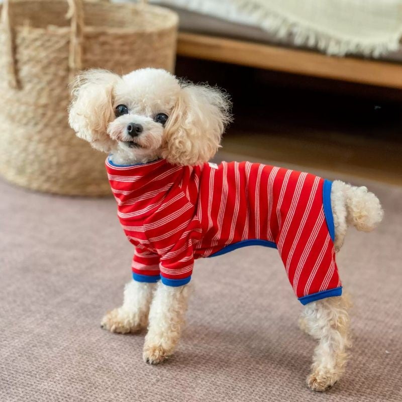 【予約】レッドボーダーのロンパース 犬服 01334