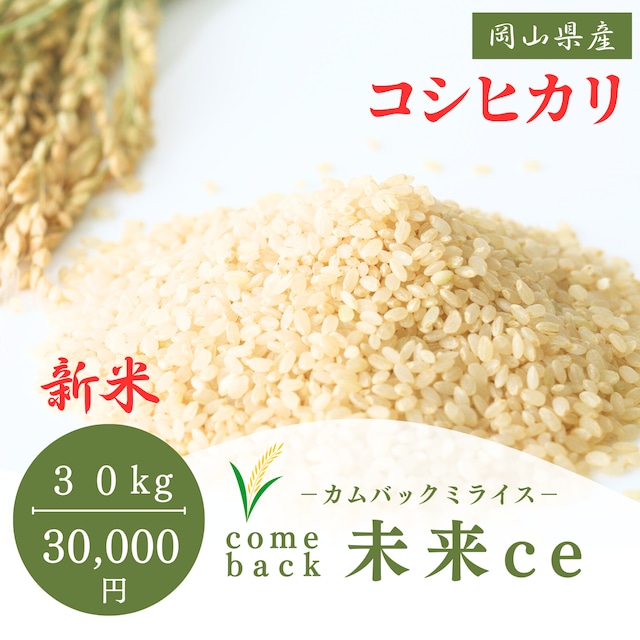 BAKTURE公式ショップ