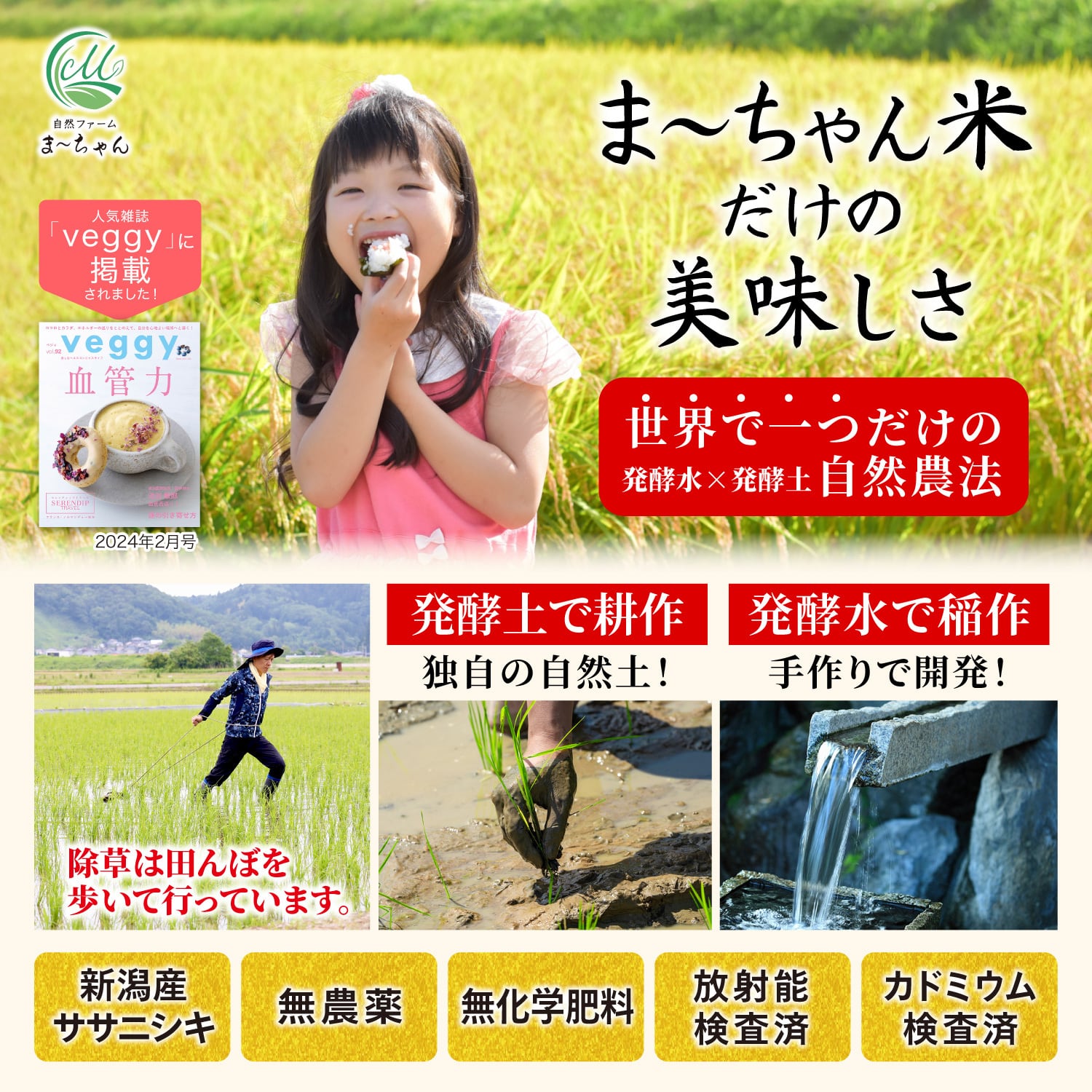 ま〜ちゃん米 【自然農法 ササニシキ】 新潟産 無農薬 無肥料米 10kg