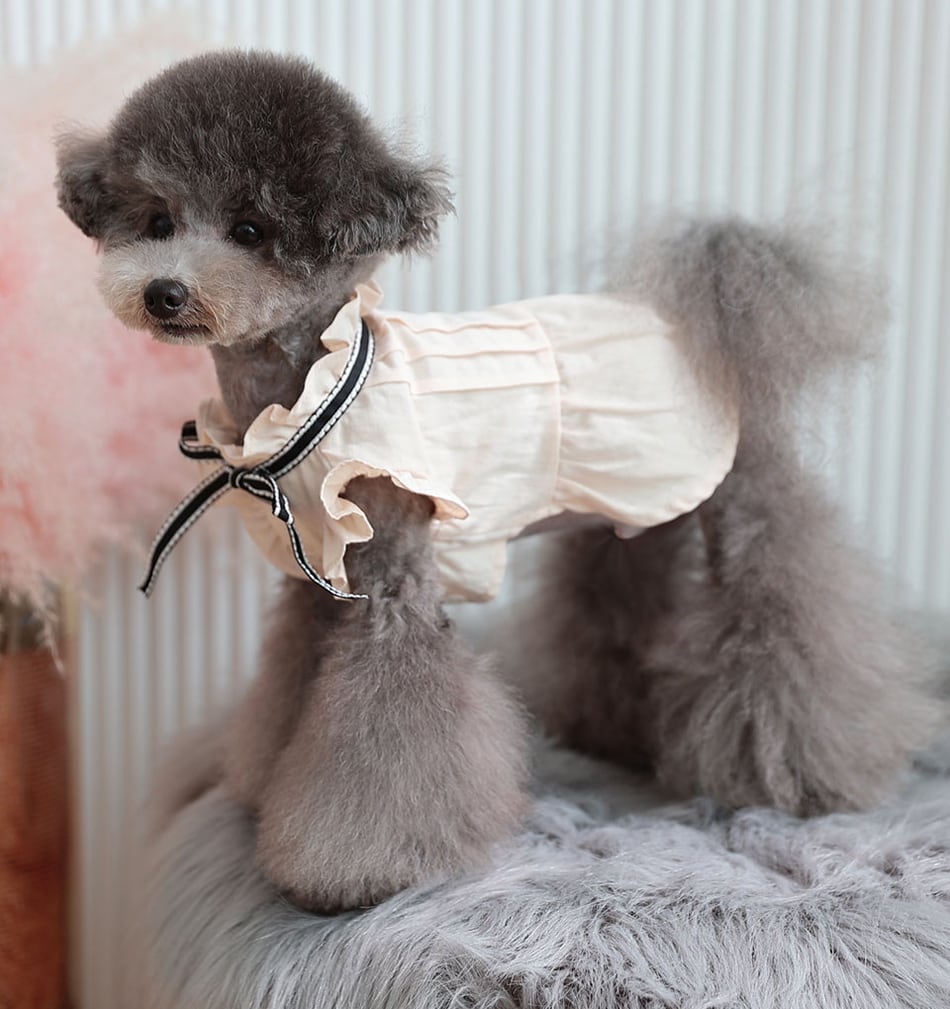 tint frill blouses / 犬服 ドッグウェア 犬の服 シャツ ワンちゃん ペット洋服 無地 犬 小型犬 中型犬 フリル ブラウス 綿 シンプル ベージュ 夏 袖なし 涼しい top125
