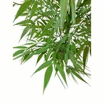 笹 人工観葉植物 高さ ８１cm 人工竹の葉の木 フェイク竹の葉 フェイク植物