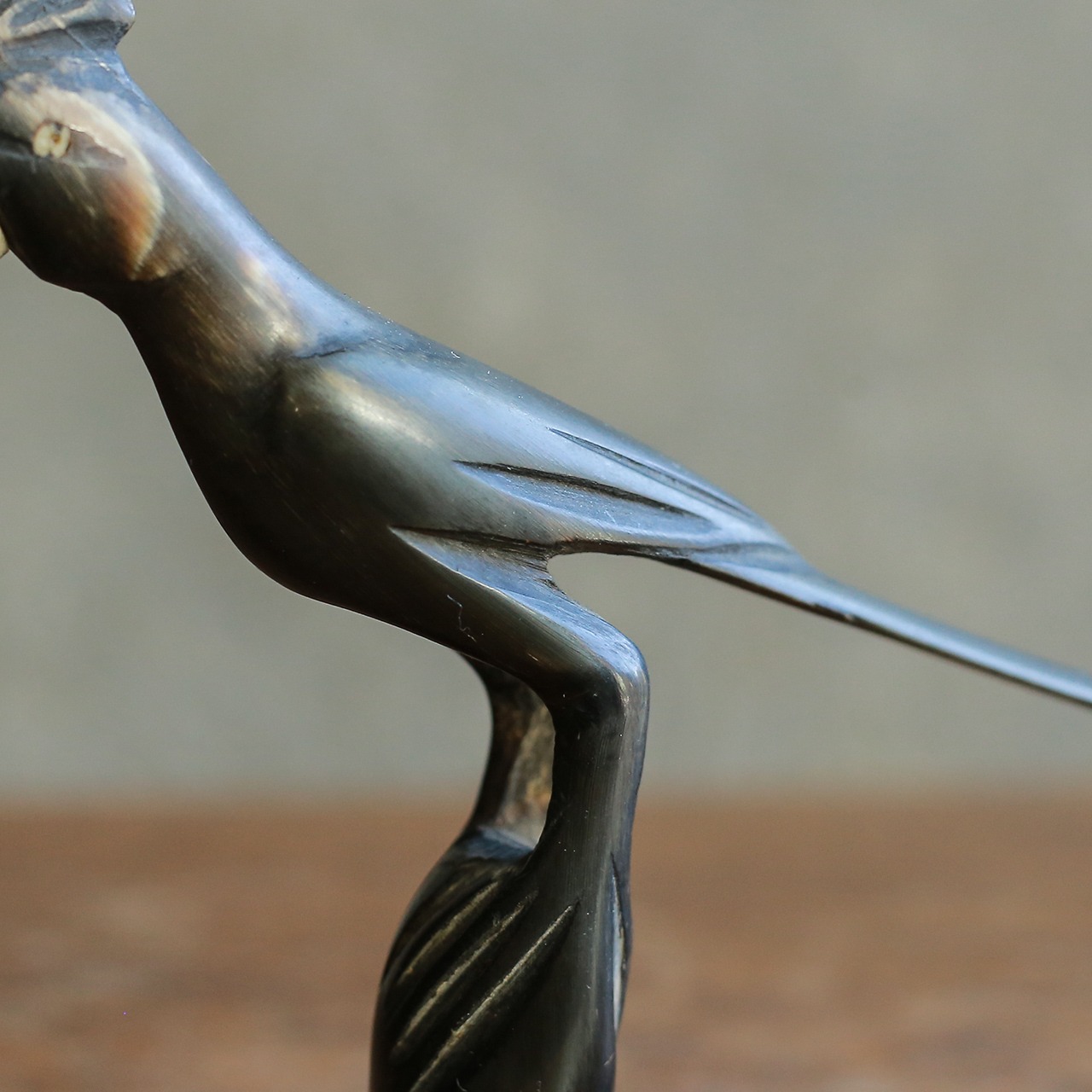 水牛の角から生まれた、ロックな頭の鳥