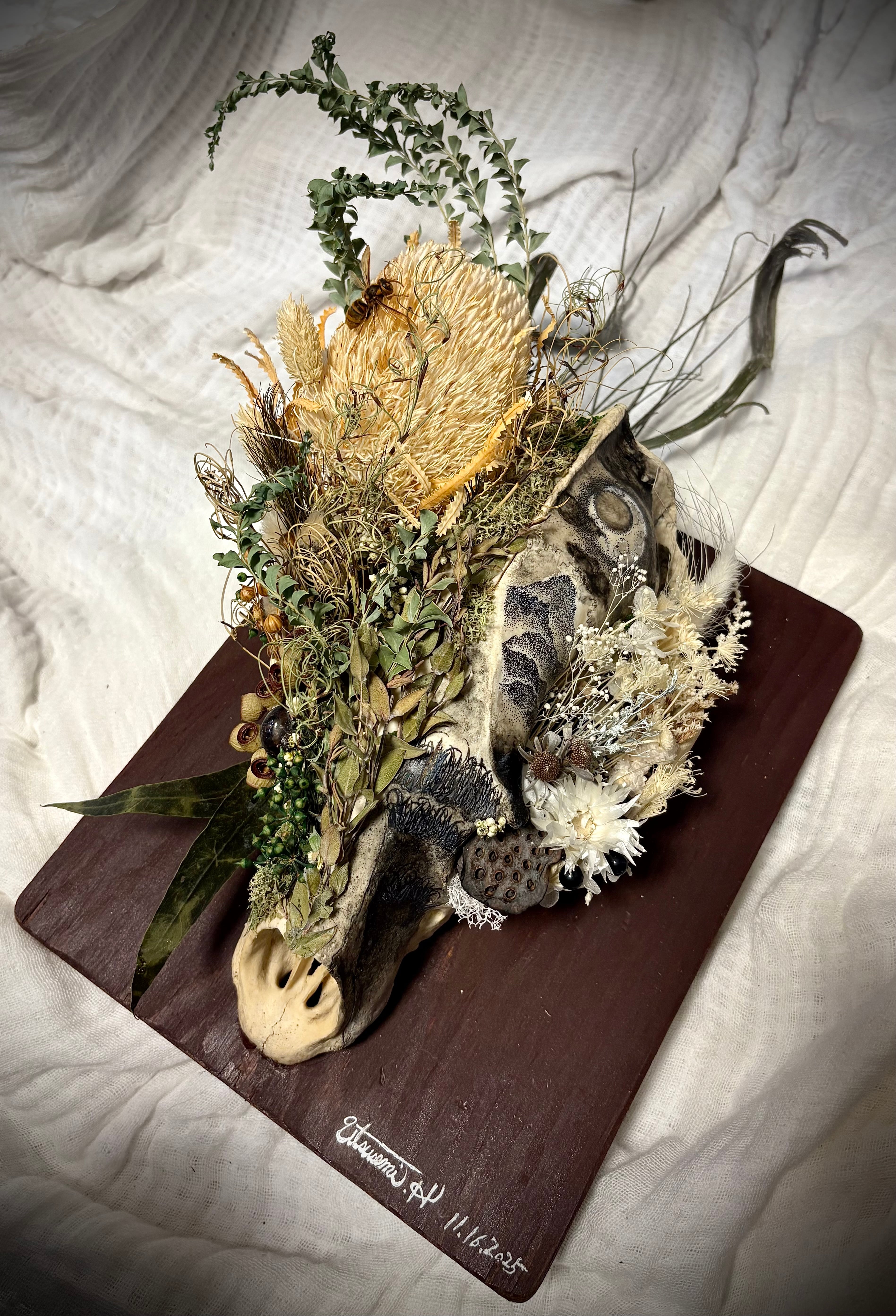 うつせみ標本屋