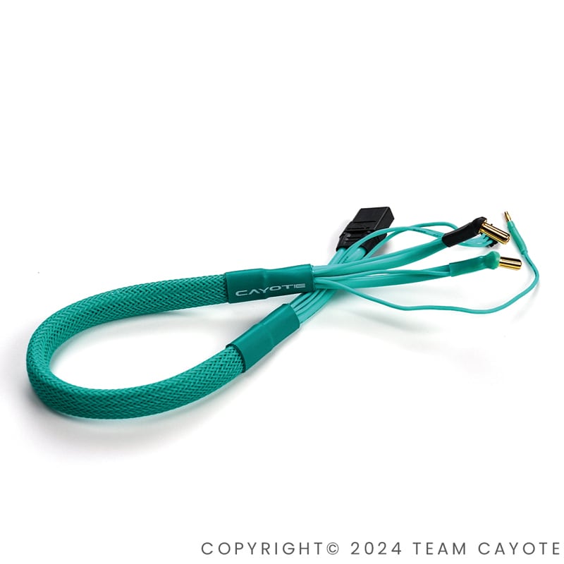 Team CAYOTE | ZEROTRIBE WEBSHOP