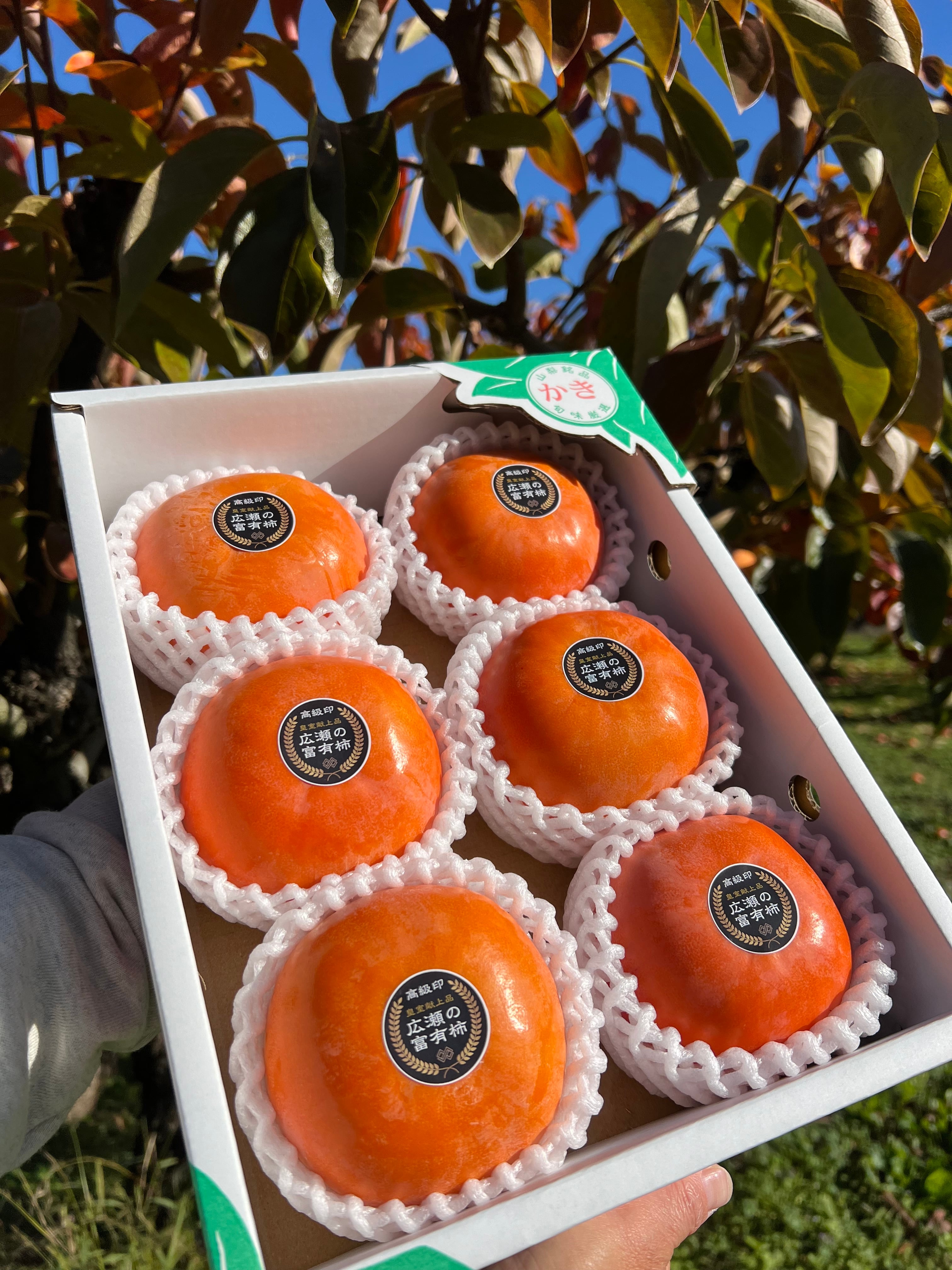 ALL ITEM | エムズファーム九曜堂