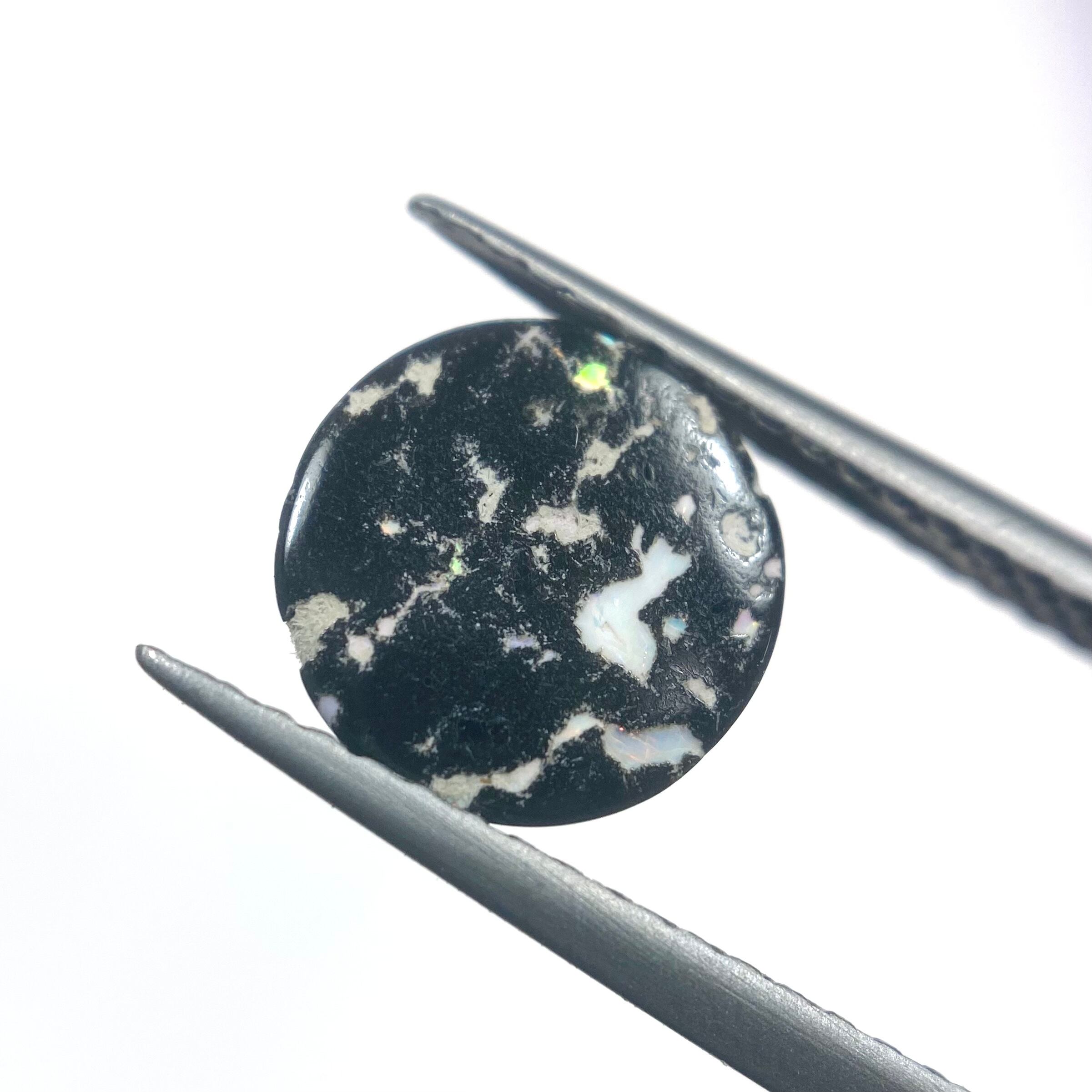 オサレなレオパードオパール1