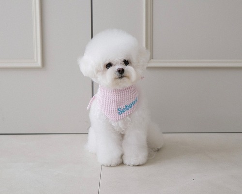 【予約】［toutoubarke］Check Pop Naming Scarf (ピンク)